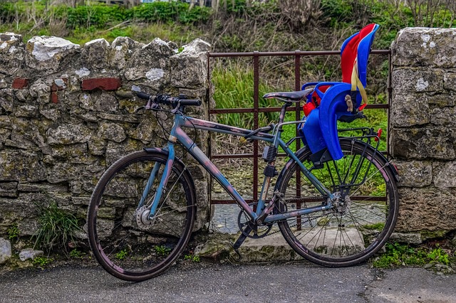 Quel type de siège bébé vélo choisir ? Les différents modèles