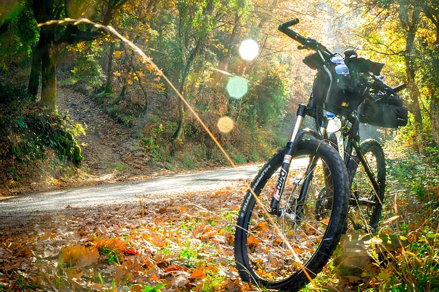 Vélo trekking