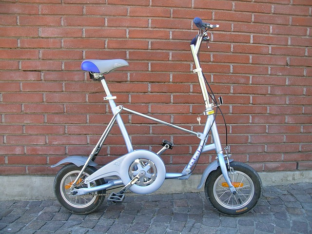 Mini vélo électrique pliant