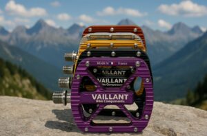 Pédale Vaillant Bike